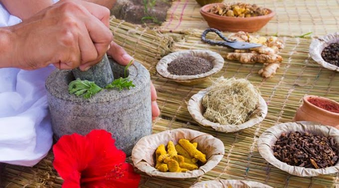 10 Ayurvedic Herbs for Boosting Immune System
