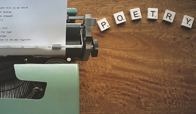 5 REASONS WHY I LOVE POETRY AND WHY YOU SHOULD READ IT TOO