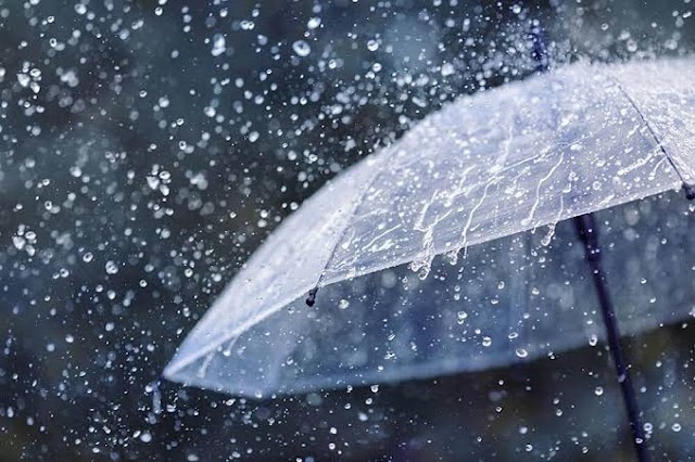 ഫിന്‍ജാല്‍ ചുഴലിക്കാറ്റ്; കേരളത്തില്‍ നാളെ മുതല്‍ മഴയ്ക്ക് സാധ്യത