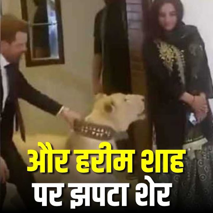 Watch: Pak TikTok स्टार हरीम शाह पर झपटा शेर   