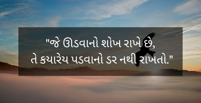 "જે ઊડવાનો શોખ રાખે છે, તે કયારેય પડવાનો ડર નથી રાખતો."