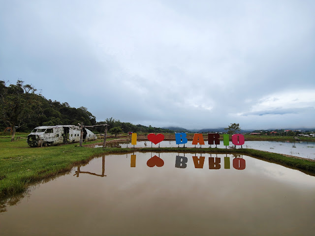 Nancy_Harriss_Homestay_Bario_Sarawak_Twin_Pioneer_Aircraft_Wreck