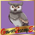 G2E Owl Rescue From Old House
