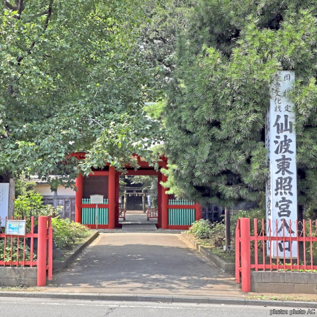 【仙波東照宮】日本三大東照宮之一　山丘上的古老小巧朱紅色華麗建築