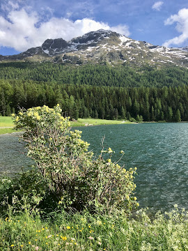 SWITZERLAND