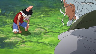 ワンピースアニメ WCI編 865話 ルフィ レイリー 修行 見聞色の覇気 Luffy Rayleigh observation haki | ONE PIECE ホールケーキアイランド編