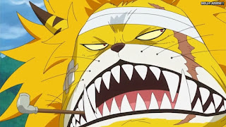 ワンピースアニメ ゾウ編 774話 ネコマムシ | ONE PIECE Episode 774