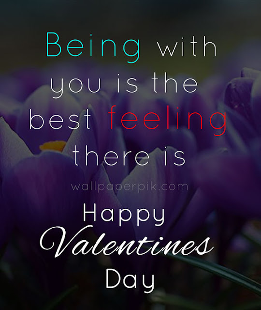 happy valentines day quotes  images