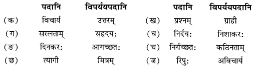 Solutions Class 10 शेमुषी भाग 2 Chapter-4 (शिशुलालनम्)