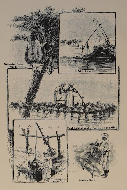 جني الثمر من النخل، منظر للنيل، قارب محمل بجرار الماء في النيل، الشادوف ، صناعة الحبال