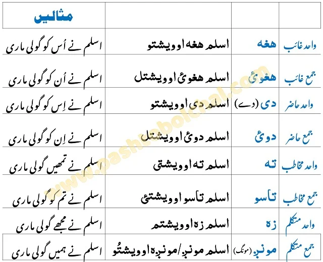 Pashto Grammar Proper and Common Nouns - اسم کی قسمیں