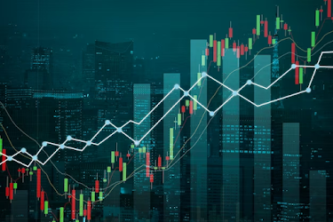 Sensex, Nifty 50 settled lower on December 20