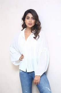 Actress Shriya Saran at Gamanam movie success meet