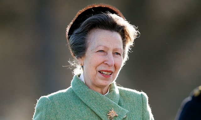 Princess Anne often tops the list for the hardest working royal - Royal Daily News