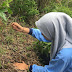 Mahasiswa KKN UIN Walisongo Tanam Pohon dan Rawat Sumber Mata Air