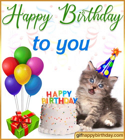 gifs happy birthday to you cat