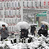 Un fuerte temporal de nieve mantiene a Tokio y los alrededores en alerta