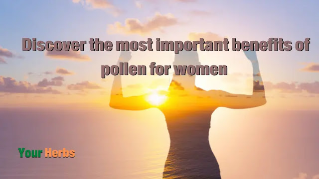 Learn about the benefits of pollen for women, or as it is called the “insight” that bees produce with honey, which is considered one of the most beneficial foods for human health in general, whether for men or women, but in this article we will talk about the benefits of pollen for women, skin, hair and ovaries, And its benefits for the pregnant woman, and the preparation recipe follows the article