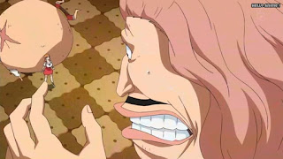 ワンピースアニメ WCI編 806話 パウンド Pound | ONE PIECE Episode 806