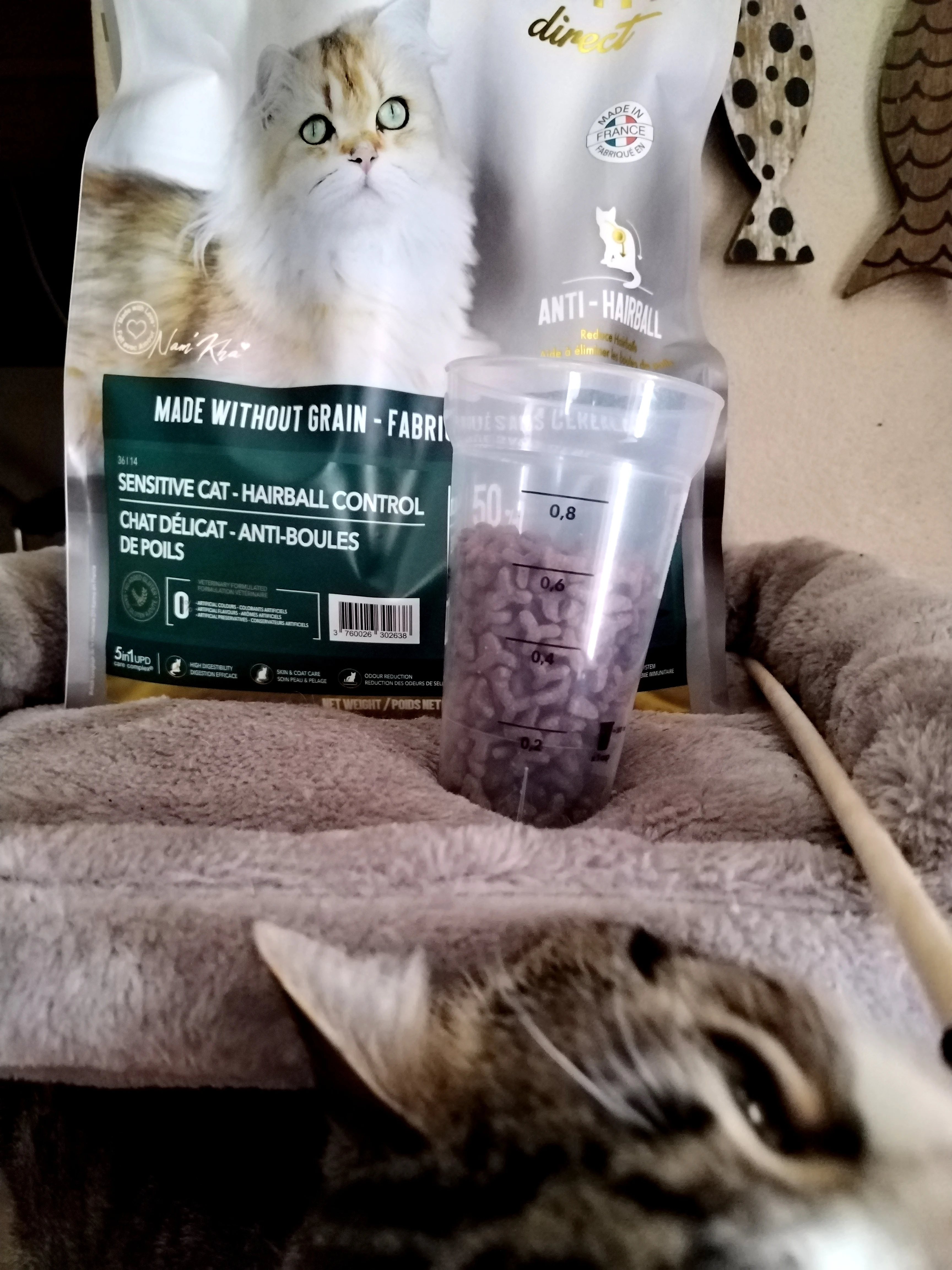 Mes chats ont testé les croquettes sans céréales Ultra Premium Direct : Leur avis 😺