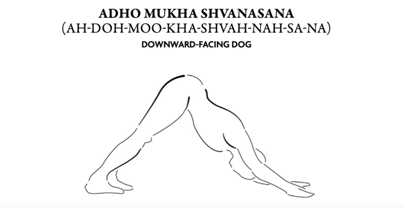 Boost Your Immunity by Doing These 3 Yoga Stretches Every Day