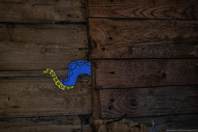 Наклейка щупальца на деревянной стене