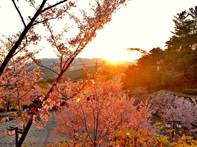 千光寺公園