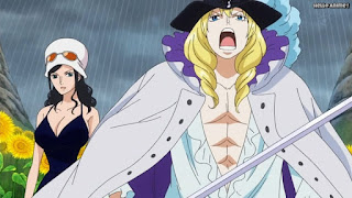 ワンピースアニメ ドレスローザ編 725話 キャベンディッシュ かっこいい Cavendish CV.石田彰 | ONE PIECE Episode 725