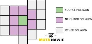 توضيح Polygon Neighbors