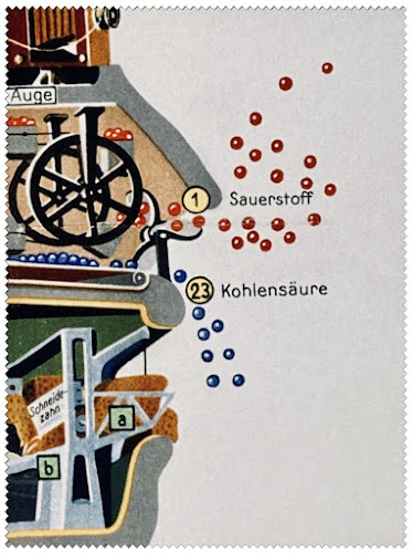 Der Mensch als Industriepalast, historische Grafik