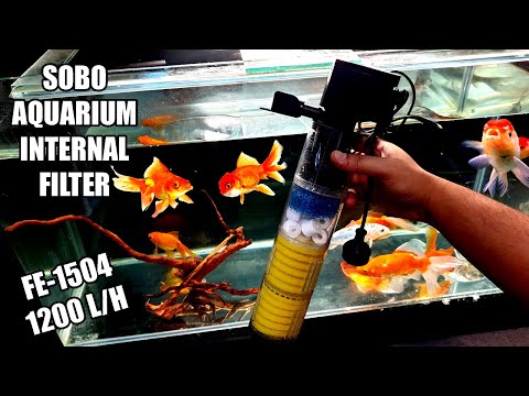 Internal filter is best for Rainbowfish aquarium