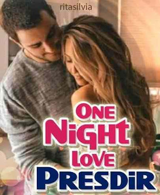 Novel One Night Love Presdir Karya Rita Silvia Full Episode