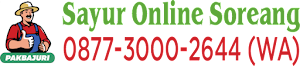 PAKBAJURI Sayur Online Soreang | 0877-3000-2644