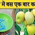 आम फलों से भर जायेगा | Best fertilizer for mango tree  