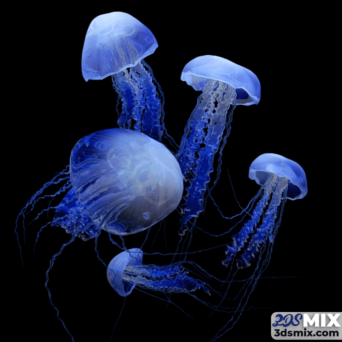 Jellyfish Creature Model 1