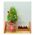Các mẫu Tùng thơm 2021 đang có sẵn tại Rustic Noel (Updating)