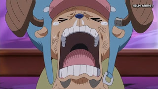 ワンピースアニメ WCI編 823話 チョッパー かわいい Chopper | ONE PIECE ホールケーキアイランド編