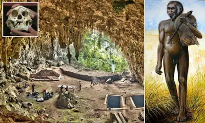 ebu gogo kisah hobit homo floresiensis dari liang bua flores