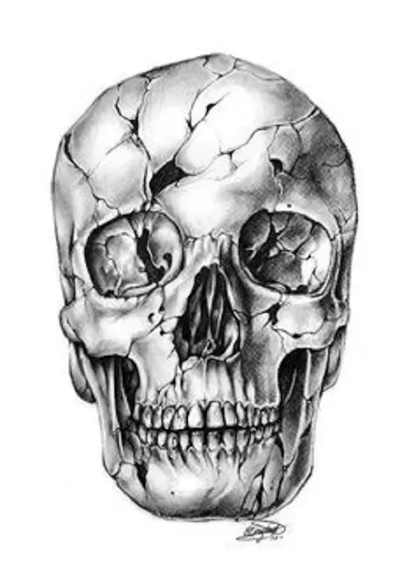 Human skull tattoo