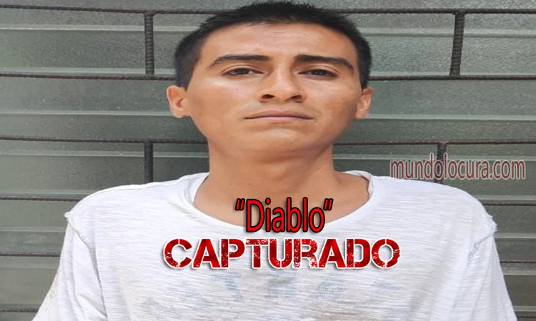 El Salvador: Capturan a pandillero alias "Diablo" que distribuía la droga de los terroristas en en la colonia Buena Vista, San Antonio del Monte, Sonsonate