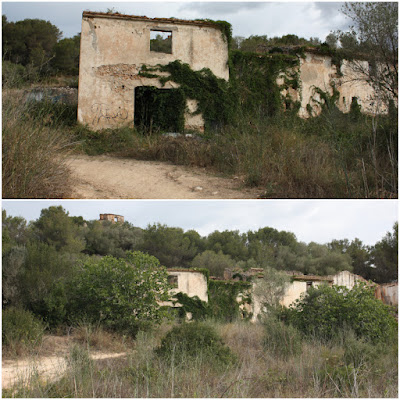 CALAFELL-MONTPAÓ-URBANITZACIÓ VALLDEMAR-TORRE D'EN VIOLA- EL PUJAL-LA TALAIA, restes de la Masia de Cal Borrell a la falta del turó del poble abandonat de Montpaó