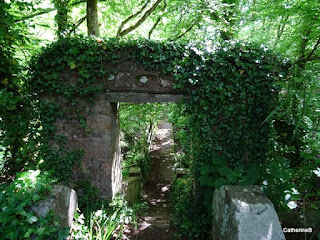 urbex-manoir-château-corsaire-parc-botanique-lierre-jpg