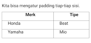 Hasil Program 2 : Padding Tiap Sisi