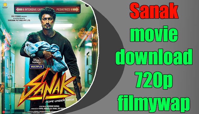 Sanak movie download 720p filmywap | full movie download 480p,720p,1080p | filmy4wap | Sanak movie download 720p filmywap