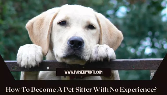 How To Become A Pet Sitter With No Experience? (2023)