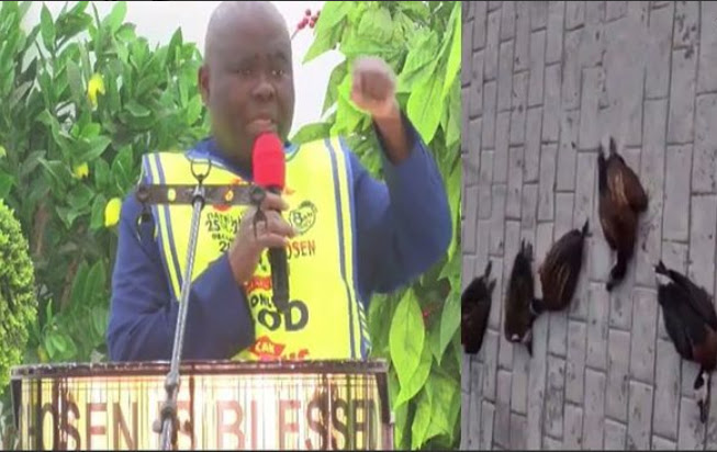 Lord Choosen Overseer, Lazarus and its members praise God after 6 Strange birds were found dead at the church Altar (video)