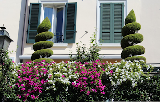 Jardín con flores y plantas