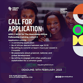 Evolufy Africa Opens Applications for the Maendeleo Africa Fellowship 2023