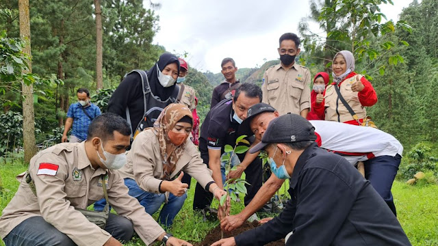 Dalam Rangka Peringati Hari Pohon, Ini Yang Dilakukan Anggota DPR RI Dewi Aryani