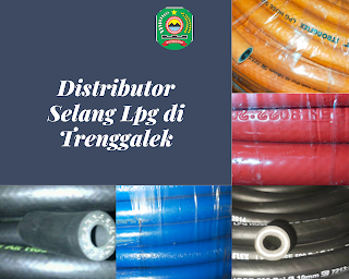 Harga selang Lpg Strongglex di Kabupaten Trenggalek, distributor selang Lpg merk Strongflex, Bridgestone, Haiflex Winn Gas, Primaflex dan lain lain. Melayani pembelian selang lph Strongflex di trenggalex info produk 081330515560